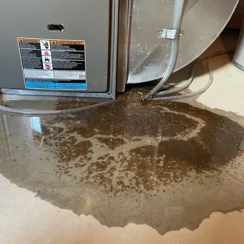 Appliance Leak Cleanup in Sweetwater County, WY